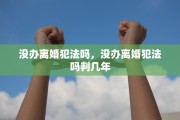 没办离婚犯法吗，没办离婚犯法吗判几年