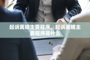 起诉离婚主要程序，起诉离婚主要程序是什么