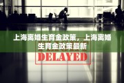 上海离婚生育金政策，上海离婚生育金政策最新