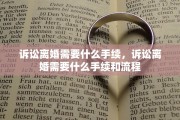 诉讼离婚需要什么手续，诉讼离婚需要什么手续和流程