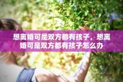 想离婚可是双方都有孩子，想离婚可是双方都有孩子怎么办