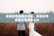 离婚后母亲要去调解，离婚后母亲要去调解怎么办