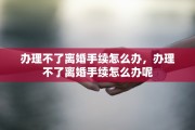 办理不了离婚手续怎么办，办理不了离婚手续怎么办呢