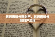 起诉离婚分配财产，起诉离婚分配财产流程