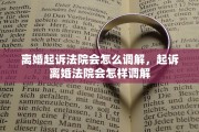 离婚起诉法院会怎么调解，起诉离婚法院会怎样调解