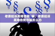 老婆起诉离婚告我詐骗，老婆起诉离婚告我诈骗怎么办