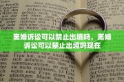 离婚诉讼可以禁止出境吗，离婚诉讼可以禁止出境吗现在