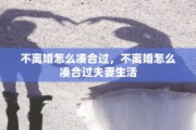 不离婚怎么凑合过，不离婚怎么凑合过夫妻生活