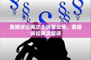 离婚诉讼再次上诉怎么写，离婚诉讼再次起诉