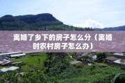 出轨同居离婚的起诉状，出轨同居离婚的起诉状怎么写