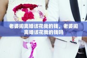 老婆闹离婚该花我的钱，老婆闹离婚该花我的钱吗
