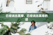 已经说出离婚，已经说出离婚的话