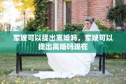军嫂可以提出离婚吗，军嫂可以提出离婚吗现在
