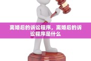 离婚后的诉讼程序，离婚后的诉讼程序是什么