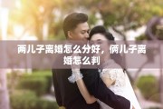 两儿子离婚怎么分好，俩儿子离婚怎么判