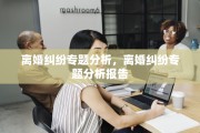 离婚纠纷专题分析，离婚纠纷专题分析报告