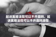 起诉离婚法院可以不开庭吗，起诉离婚法院可以不开庭吗现在