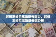 起诉离婚后离婚证去哪办，起诉离婚后离婚证去哪办理