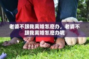 老婆不跟我离婚怎麽办，老婆不跟我离婚怎麽办呢