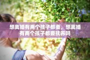 想离婚有两个孩子都要，想离婚有两个孩子都要抚养吗
