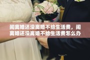 闹离婚还没离婚不给生活费，闹离婚还没离婚不给生活费怎么办