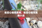 我变心咯想离婚，我变心咯想离婚小说