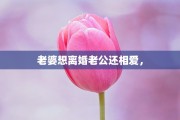 老婆想离婚老公还相爱，