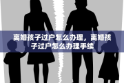 离婚孩子过户怎么办理，离婚孩子过户怎么办理手续