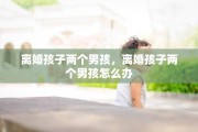 离婚孩子两个男孩，离婚孩子两个男孩怎么办