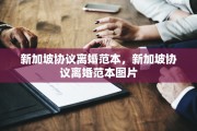 新加坡协议离婚范本，新加坡协议离婚范本图片