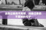 说各过各的不离婚，说各过各的不离婚的句子