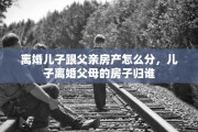 离婚儿子跟父亲房产怎么分，儿子离婚父母的房子归谁