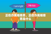 正在办离婚意思，正在办离婚意思是什么
