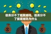 债务分不了能离婚吗，债务分不了能离婚吗为什么