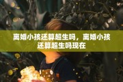 离婚小孩还算超生吗，离婚小孩还算超生吗现在