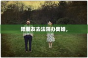 陪朋友去法院办离婚，