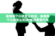 离婚两个小孩怎么判决，离婚两个小孩怎么判决?抚养费用不用