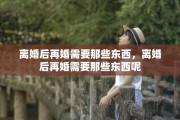 离婚后再婚需要那些东西，离婚后再婚需要那些东西呢