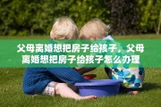 父母离婚想把房子给孩子，父母离婚想把房子给孩子怎么办理