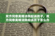 双方同意离婚法院起诉孩子，双方同意离婚法院起诉孩子怎么办