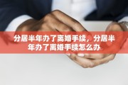 分居半年办了离婚手续，分居半年办了离婚手续怎么办