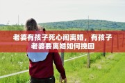 老婆有孩子死心闹离婚，有孩子老婆要离婚如何挽回