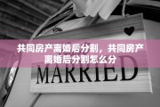 共同房产离婚后分割，共同房产离婚后分割怎么分
