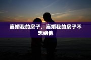 离婚我的房子，离婚我的房子不想给他