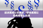 起诉离婚以后再婚，起诉离婚以后再婚怎么处理