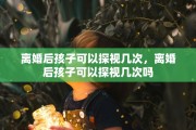 离婚后孩子可以探视几次，离婚后孩子可以探视几次吗