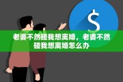 老婆不然碰我想离婚，老婆不然碰我想离婚怎么办
