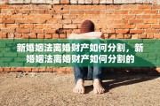 新婚姻法离婚财产如何分割，新婚姻法离婚财产如何分割的