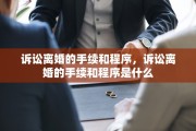 诉讼离婚的手续和程序，诉讼离婚的手续和程序是什么