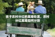孩子农村分红的离婚处置，农村分红离婚如何分割